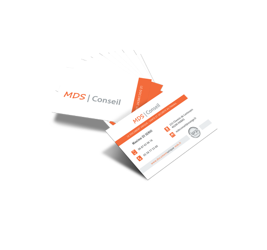 carte de visite mds conseil